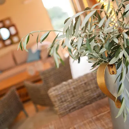 Aelia Guest house 4*
