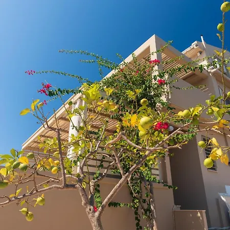 Guest house Aelia 4*