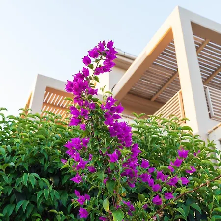 Aelia Guest house 4*